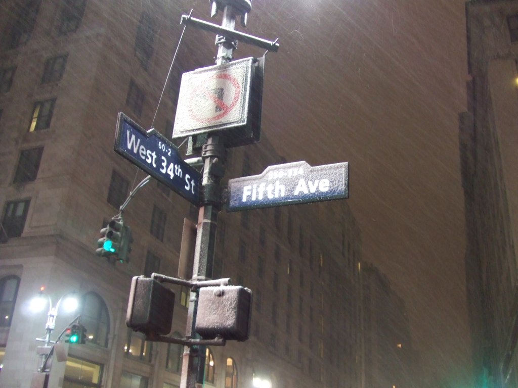 2006-0316-NY0092.jpg