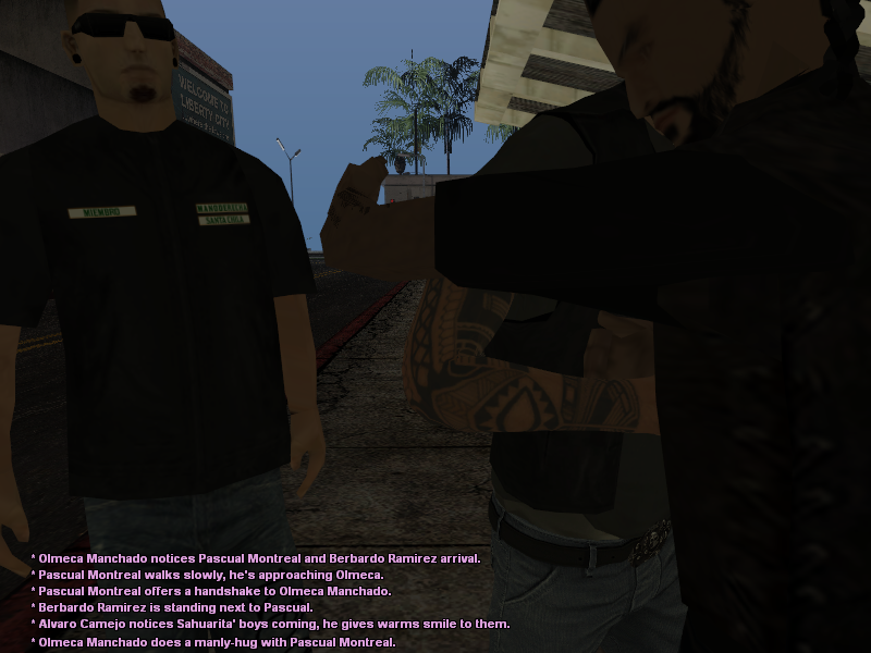 ssroleplay1246.png