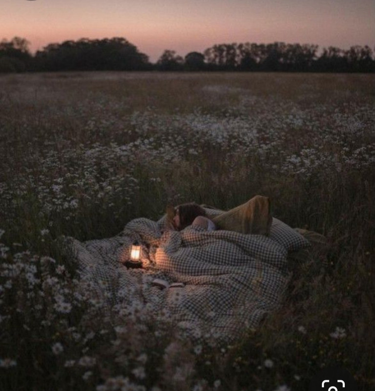 Screenshot_20240325_233445_Pinterest