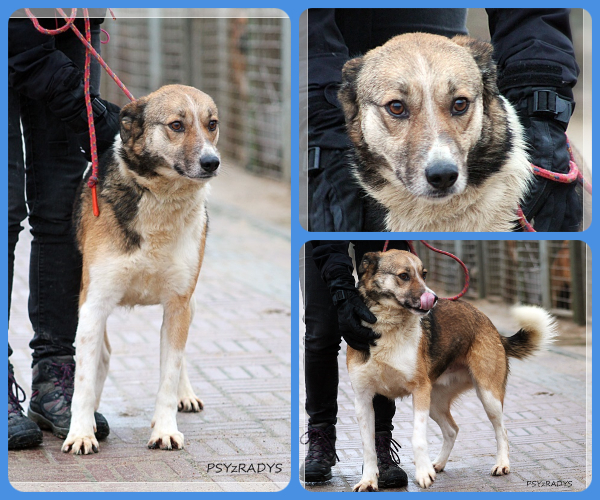 BeFunky-collage (20)