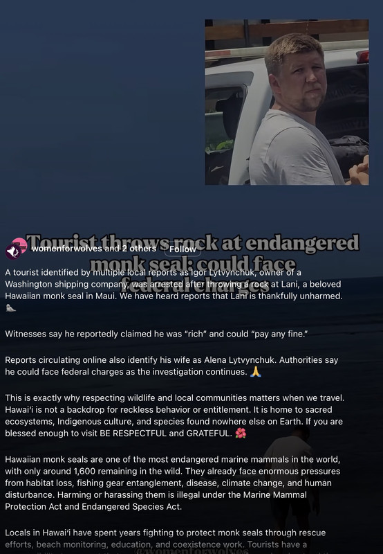 https://i.postimg.cc/9QdcRKd2/IMG-4277.jpg