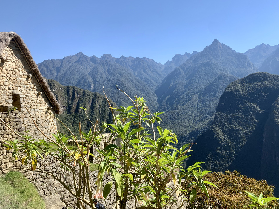 696AC48F-7517-4054-86D1-E2F5F9C3ABB4