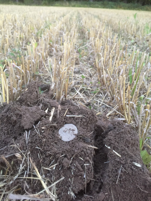 38256E05-2C7F-4499-BF5C-EFD1AB57A1A2