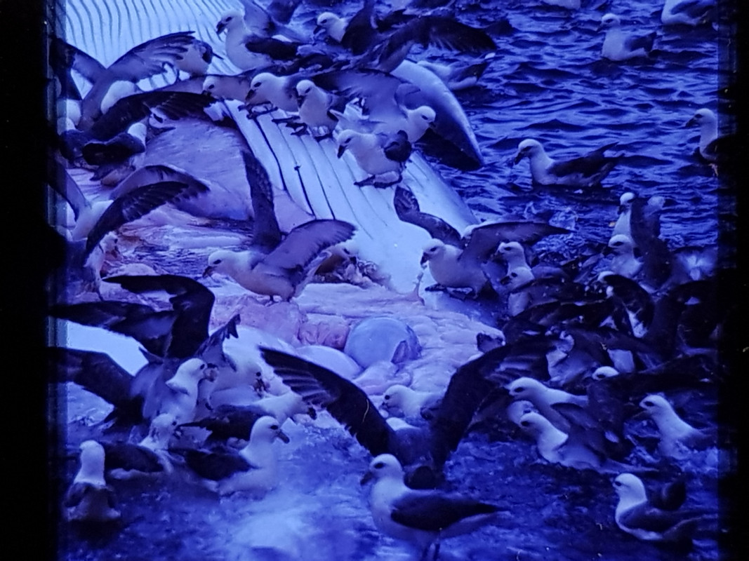 20220307_163234_resized