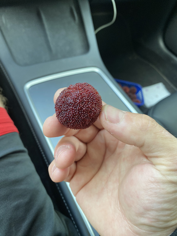 D22E760A-F268-4D87-B9B2-1C66EDBCD22B