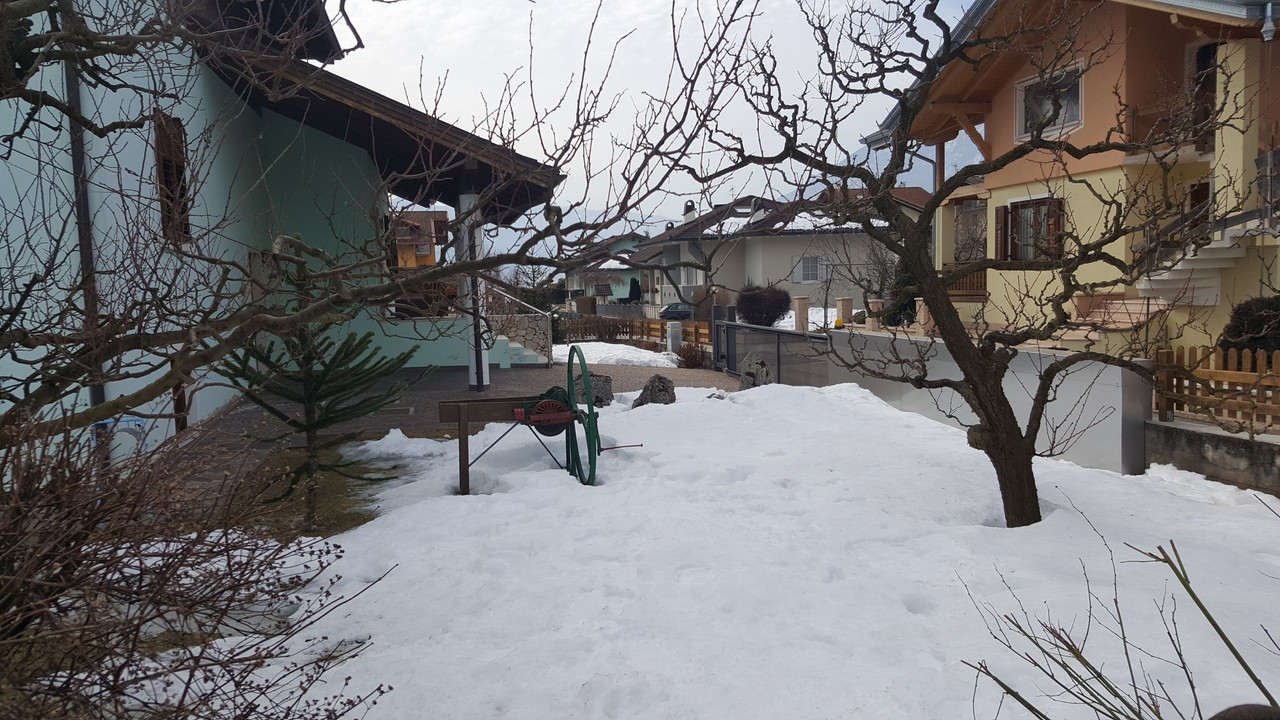 20190224_105158