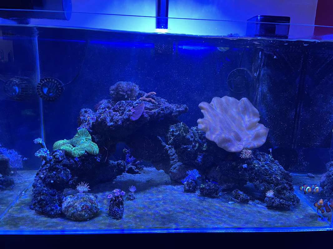 47CC378C-D7BA-408C-A2CA-06ABF0A794AD