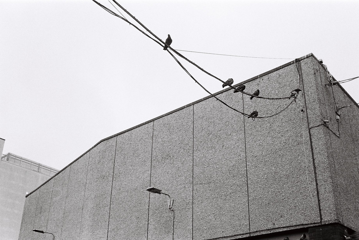 1514A44A-B0C2-4B5C-90B4-D30CC1ACB7F8