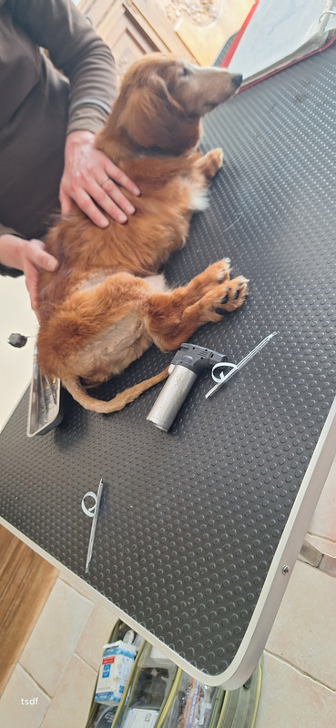 [Image: 20250307-153041.jpg]