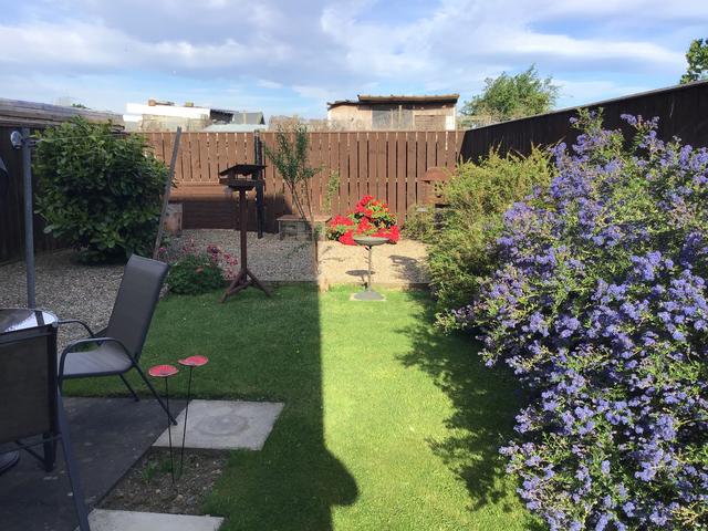 8D8183DE-3D41-4BAC-B241-C80FCF3DE7CD