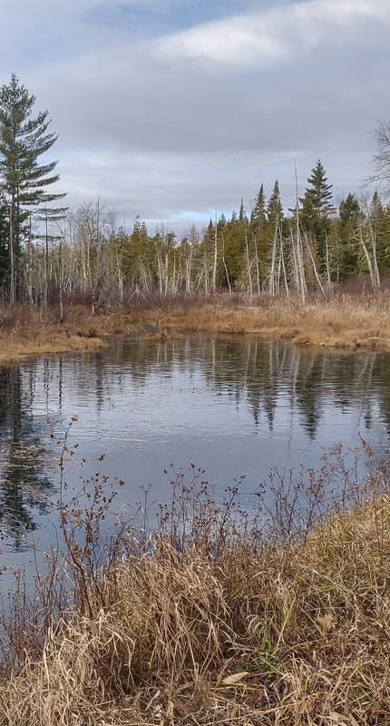 IMG_20241115_092701575_HDR~2