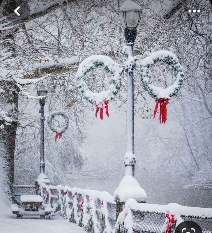 Screenshot_20231205_175321_Pinterest