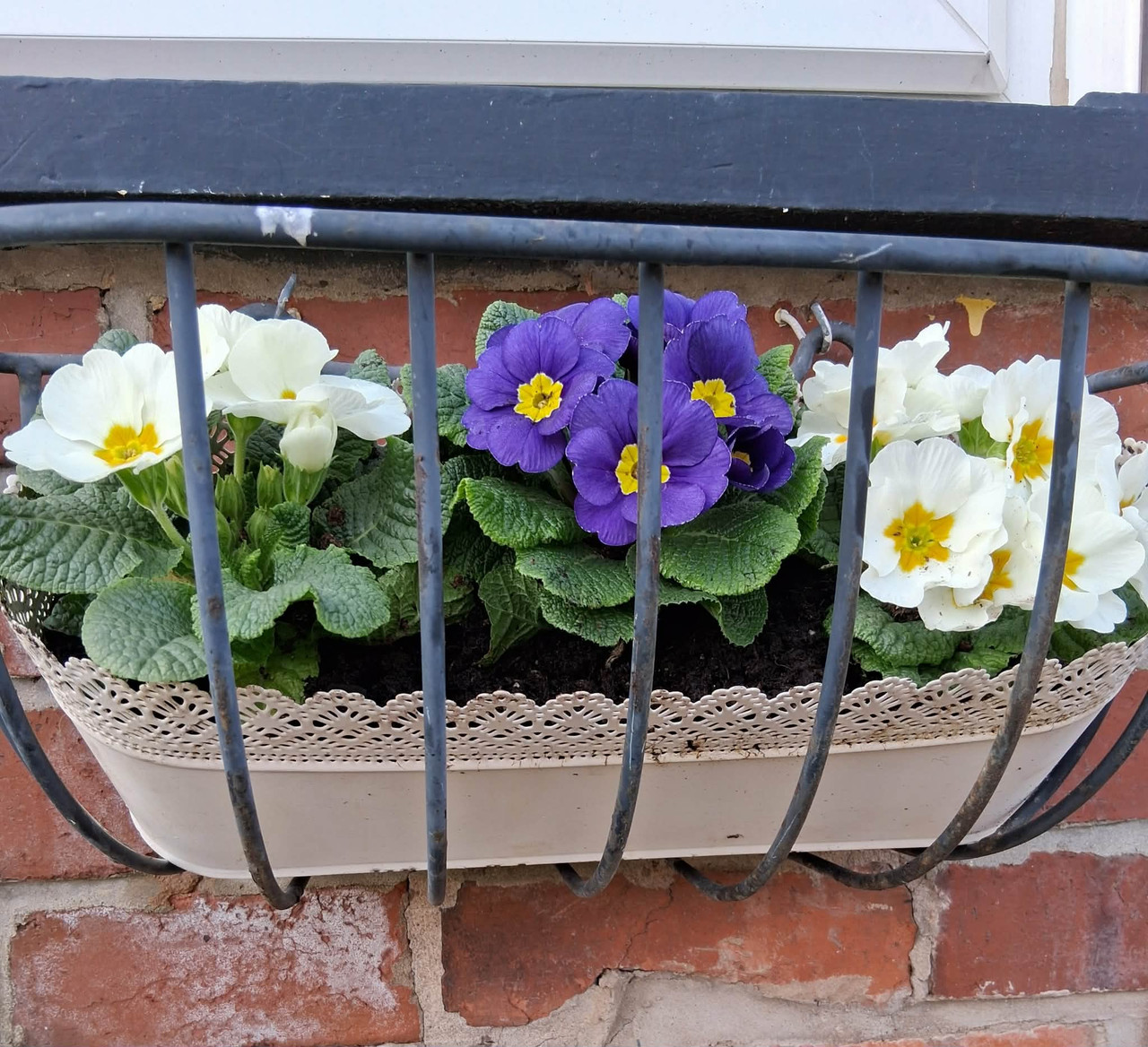 att ob WE7cq Qt7i EK4f Vk RMsrp Hoe ROEG6Le RZi r ETss Tg