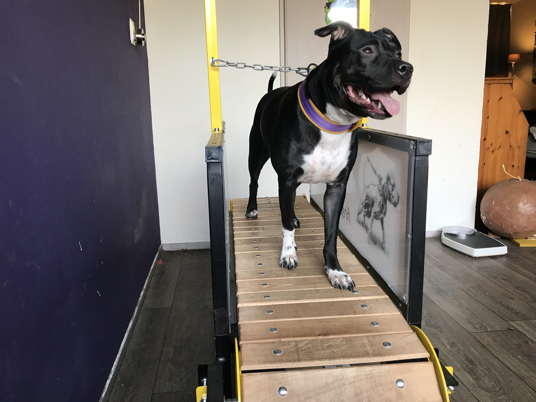 A2148D15-534A-4BBB-9C2D-5E6DD0C3612B