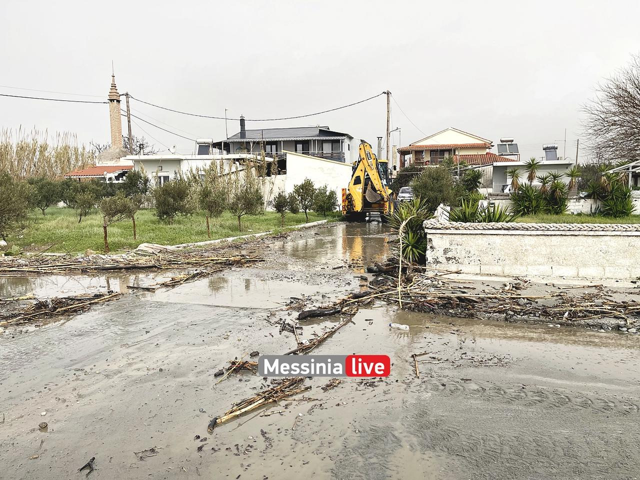 KORDIASIMG-2873