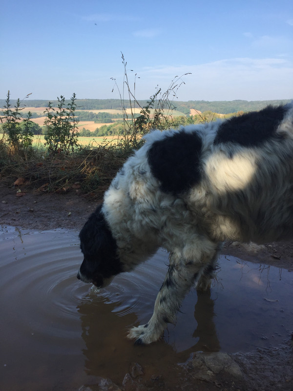 F31316F6-3E28-4EC1-909F-EF3BC41ADAB1