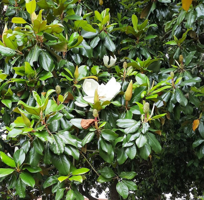 199252548_4004493082981120_2262853819455825859_n (4)