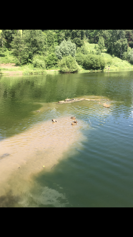 1B53A1BF-8F05-4F71-B737-4A86D2B679DD