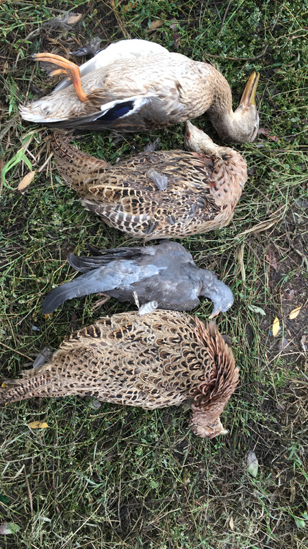 636E1CE9-6D0A-445B-8658-D762C0E23946