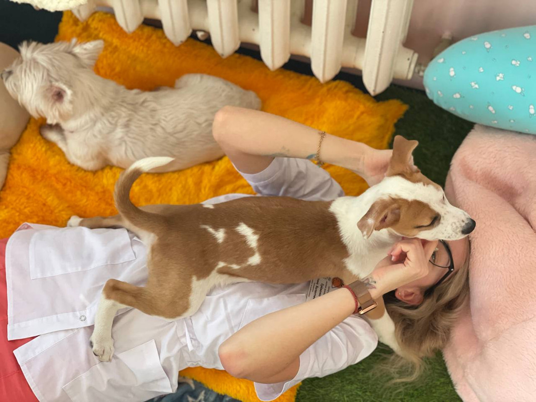 FC844417-DAA6-440E-8336-66B9D081DCB7