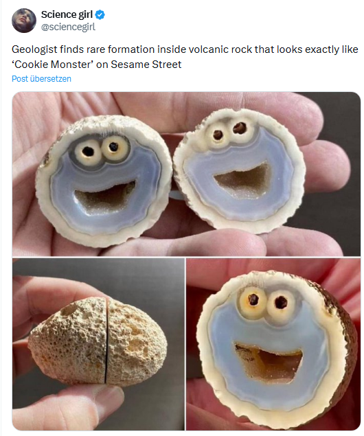 Cookie Monster-Stein