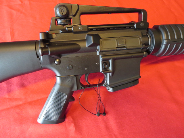 Waff-ank-Clearwater-063