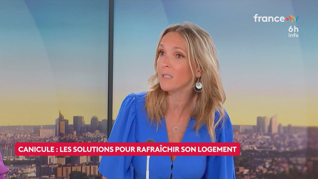 Le 6h info (France 2) 2026 06 20 04 55 67 ts snapshot 22 12 213