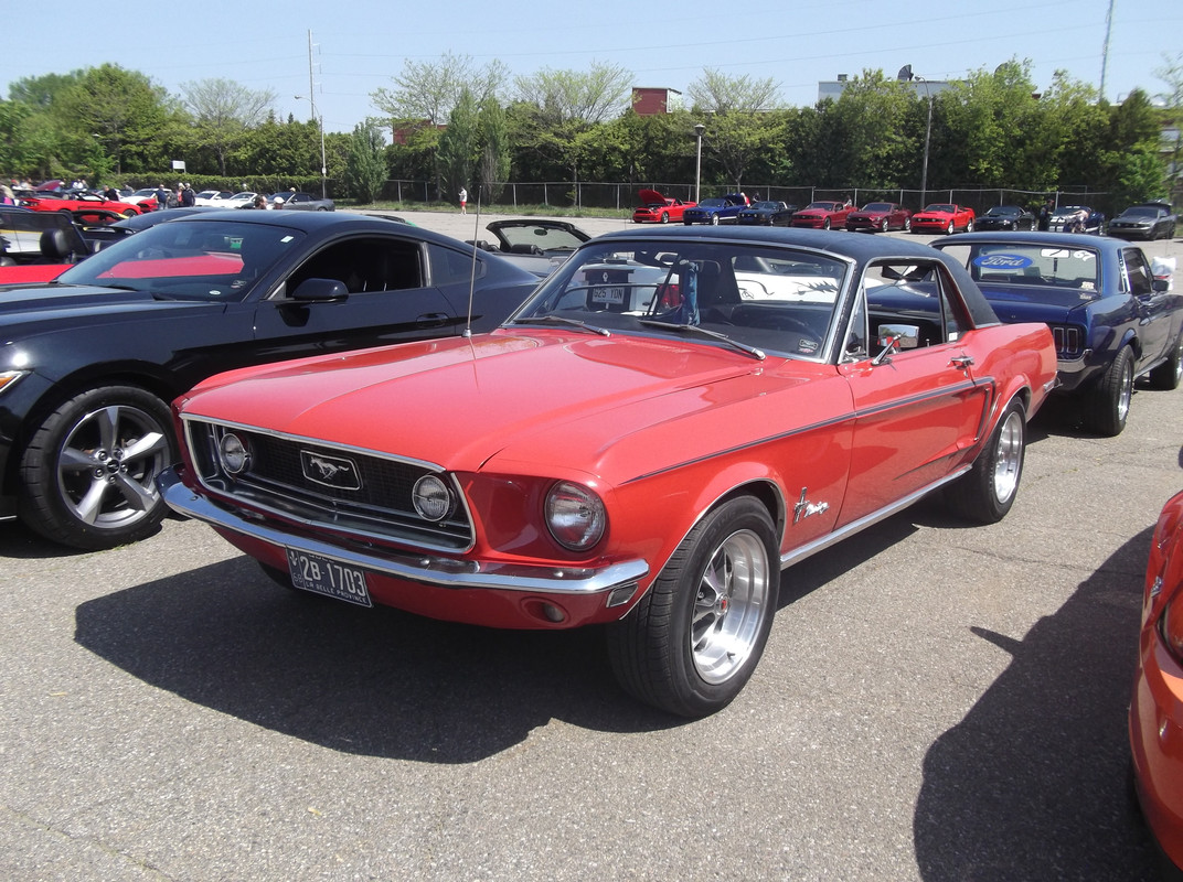 Activité 2023: Bénédiction des Mustang le 28 mai 2023 1968-1