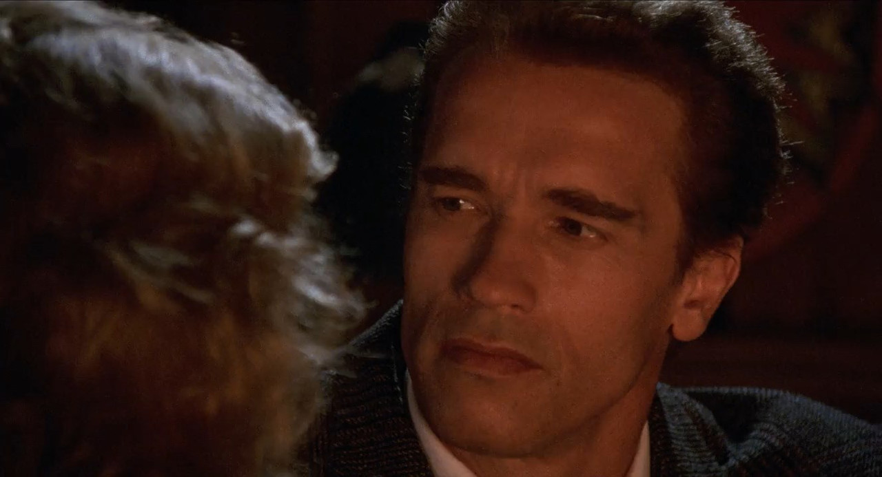 Kindergarten Cop 1990 BluRay [Hindi + English] 480p, 720p ESub Screenshot