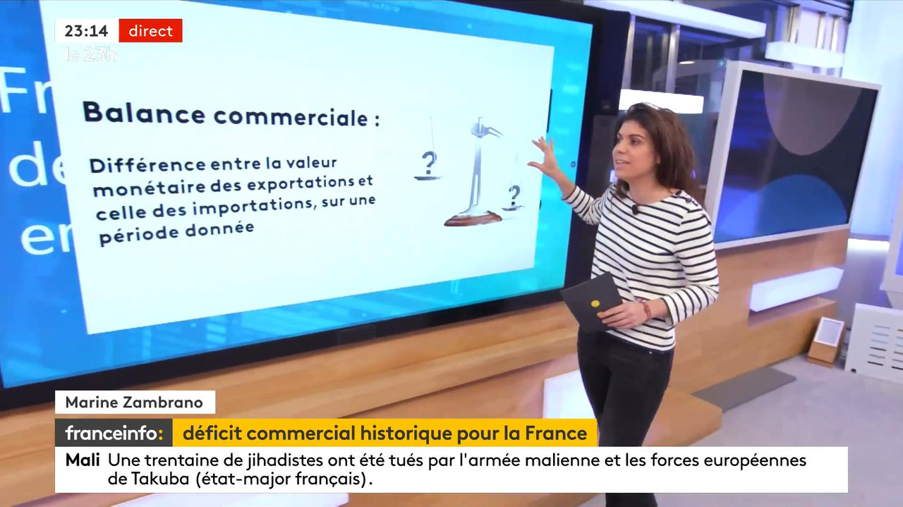 02.08 - 21.59.00 - Le 23H. Le Grand Jt Du Soir De France Télévisions,...-1.m4v_snapshot_00.17.38_[20