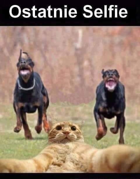 251505715-5260128970670444-2211634813969