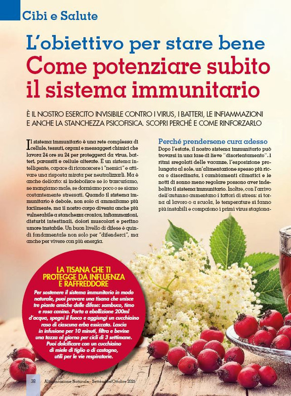 Alim Nat Set-Ott 2025 (5)