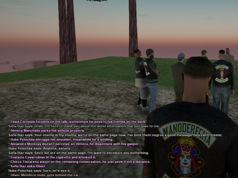 SSRoleplay712.png