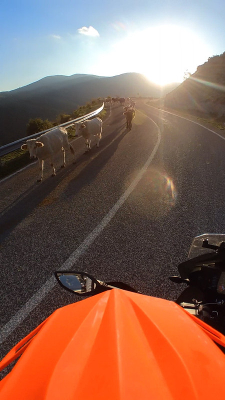 8F7B6BEB-9A0C-4556-A157-48654649055B