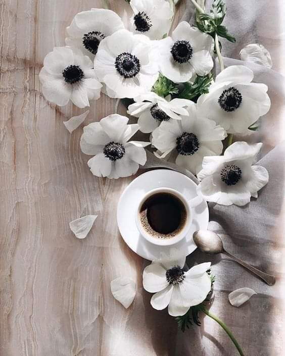 FB_IMG_1724949553462