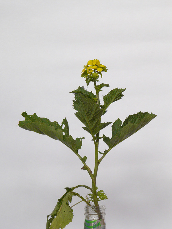 P1120300-0... (1024)