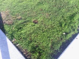 IMG_20171012_081602_569