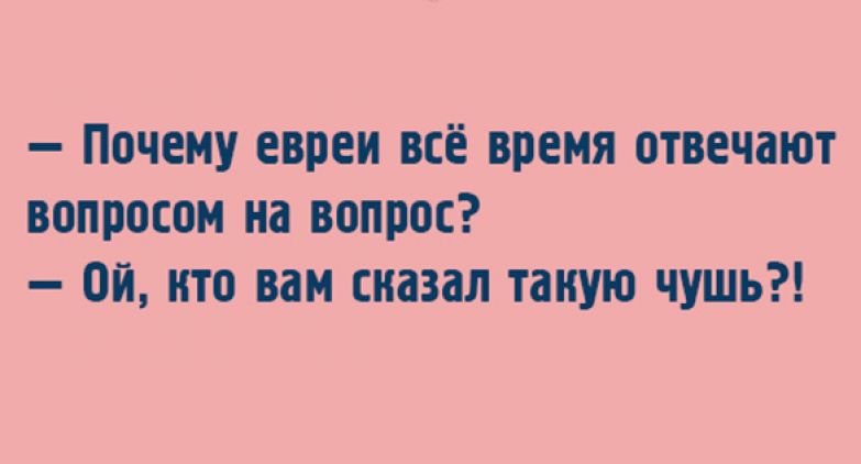 51666eb6d67dfdd5becf7afb6609a1b6_783x0