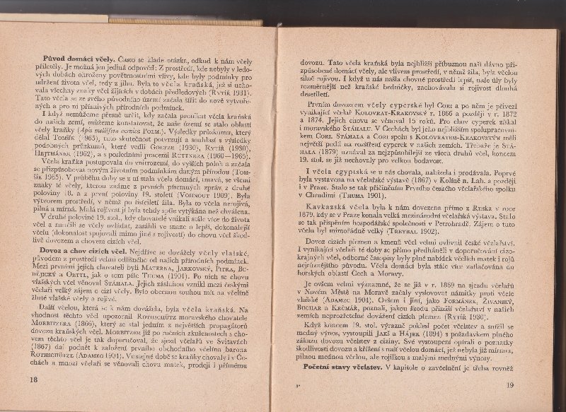 původ domácí včely