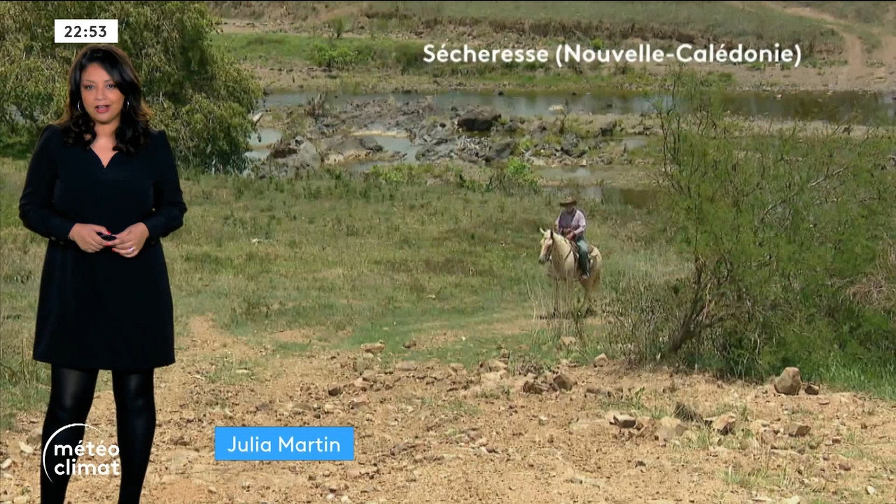 Planète info (Franceinfo)_2024_01_09_20_58_92.ts_snapshot_00.56.04.863