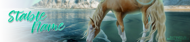 Recharge-BANNER