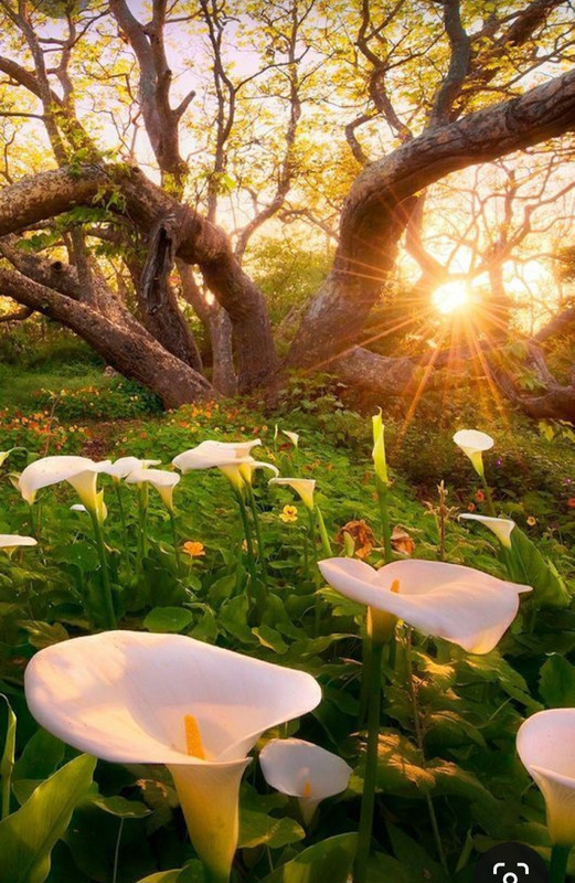 Screenshot_20230321_232140_Pinterest