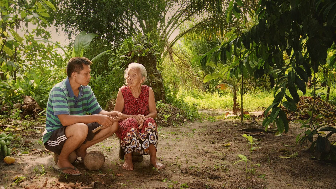 The Look of Silence (2014) (1080p BluRay x265 Silence)-4