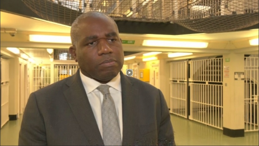 lammy.jpg