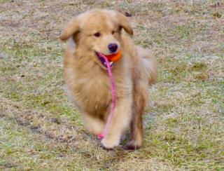 applause picture we took