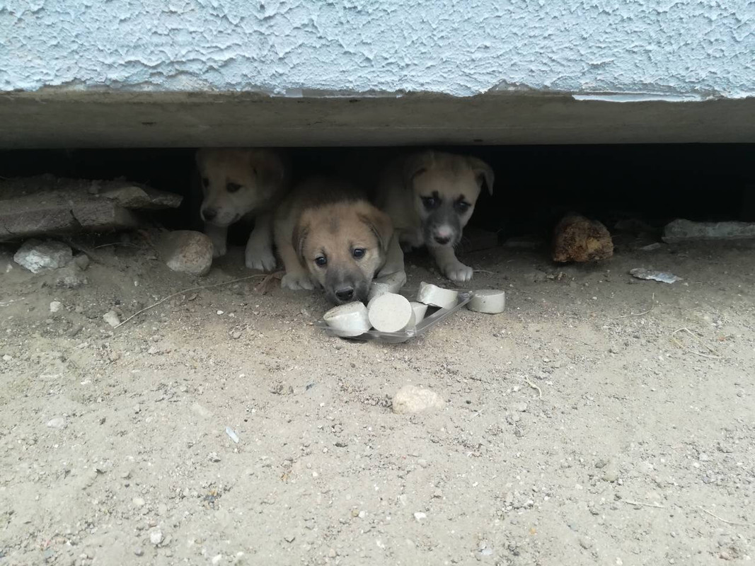 IMG_0346-27-10-18-02-44