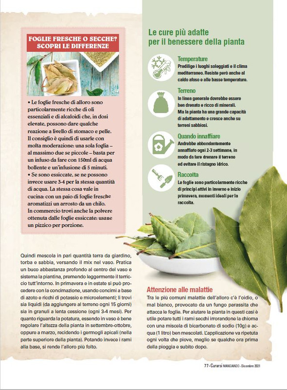 Cur Mang Dic 2021 (12)