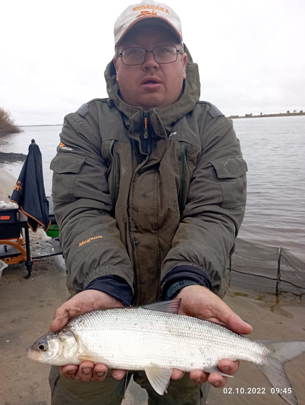 Амуртаймень. Охотники амурская область. Рыбалка на щуку. Форум рыбаков и охотников амурской области амуртаймень. Амуртаймень форум.