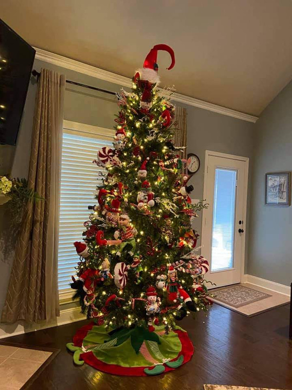 FB_IMG_1606511045438