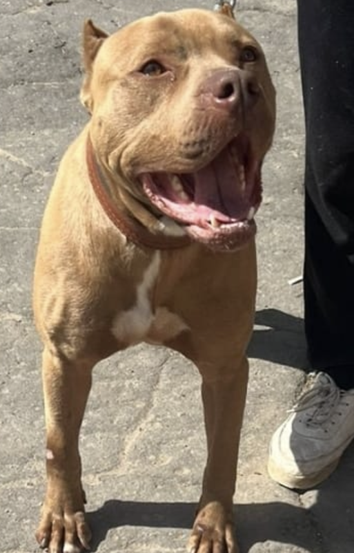 Снимок экрана 2024-04-30 в 23.00.49